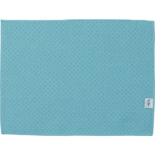 Load image into Gallery viewer, FX Antibacterial Cloth  CL-374-930-3  TERAMOTO
