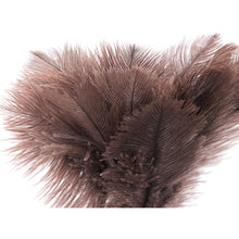 Load image into Gallery viewer, MM Ostrich Feather Duster  CL-897-130-0  TERAMOTO
