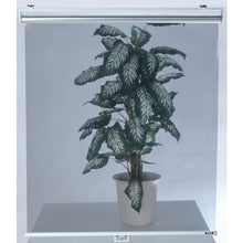 Load image into Gallery viewer, Roll Screen  CMGRSS-9018  TRUSCO
