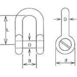 Load image into Gallery viewer, Stainless Steel Oval Sink Pin type D-Shackle  CS-10  MIZUMOTO
