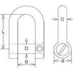 Load image into Gallery viewer, Stainless Steel D-shackle CS sunk Ditch w/hollow screw  CSF-13  MIZUMOTO
