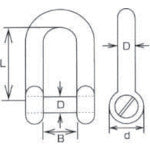 Load image into Gallery viewer, Stainless Steel Long Sink Pin type D-Shackle  CSL-4  MIZUMOTO
