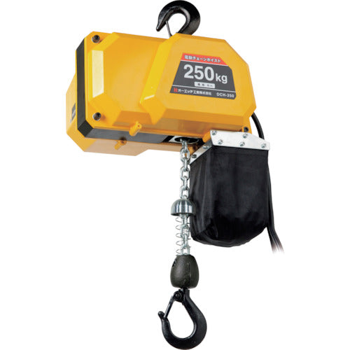 Electric Chain Hoist  DCH-250  OH