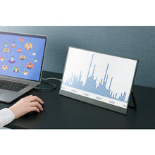 Load image into Gallery viewer, Portable Monitor  DP-BF162S-B(103160)  IRIS
