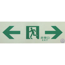 Load image into Gallery viewer, Emergency Exit Guidance Sign Passageway  EGS1030-B  TRUSCO
