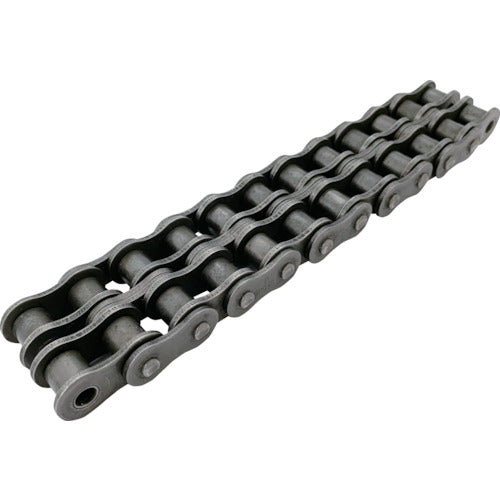 Roller Chain  EK100D-2 RP 96L DCJ  ENUMA