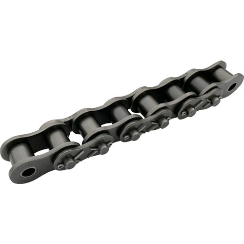 Roller Chain  EK100D CP 96L DCJ  ENUMA