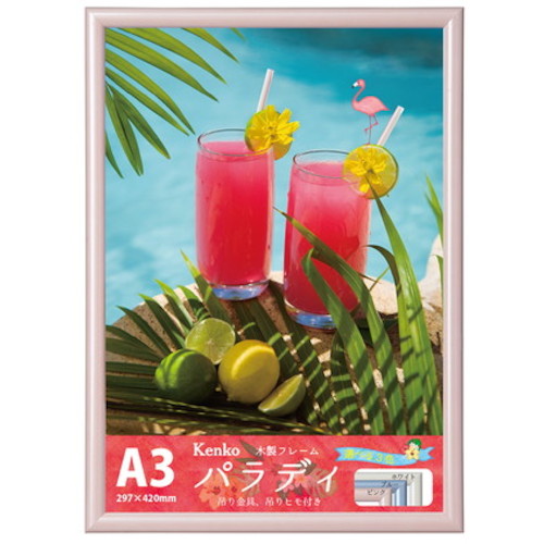 Picture Frame  EPR-A3-PK  Kenko