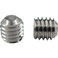 Load image into Gallery viewer, Stainless Steel Hexagon Socket Set Screw  F001-00303  TRUSCO
