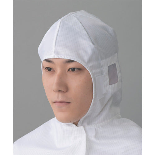 Cleanroom Hood FC406C  FC406C-01  TriApex