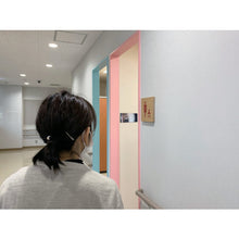 Load image into Gallery viewer, FF Mirror for Restroom Entrance  FR27B  KOMY
