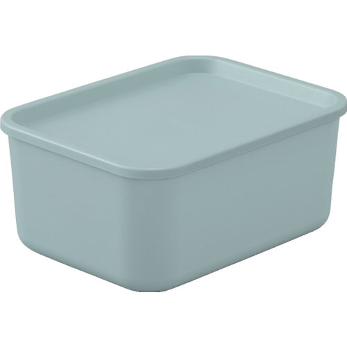 Storage Box  FTB-29(288502)  IRIS