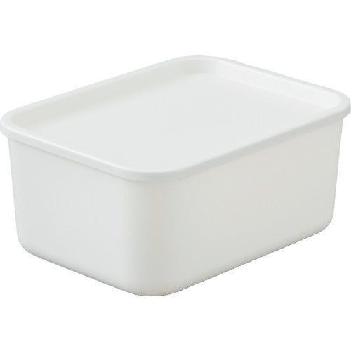 Storage Box  FTB-29(288078)  IRIS