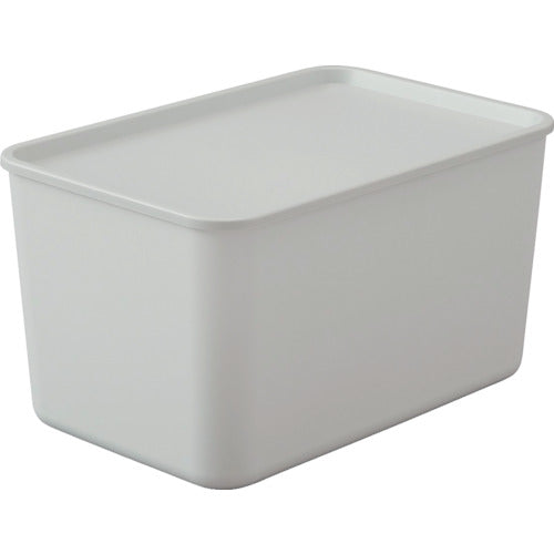 Storage Box  FTB-45D(288075)  IRIS