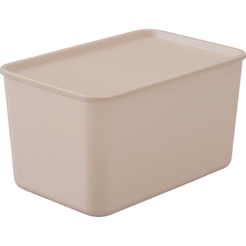 Storage Box  FTB-45D(288497)  IRIS