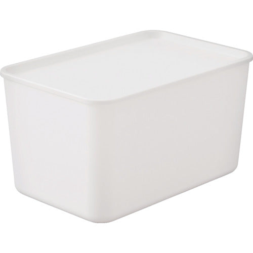 Storage Box  FTB-45D(288074)  IRIS