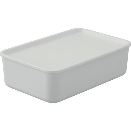 Storage Box  FTB-45(288077)  IRIS