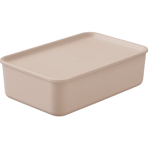 Storage Box  FTB-45(288499)  IRIS