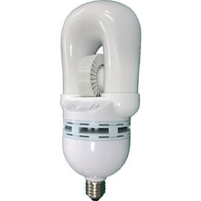 Load image into Gallery viewer, ELILanp  002905  ELI Lamp
