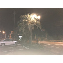Load image into Gallery viewer, ELILanp  002905  ELI Lamp
