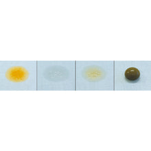 Load image into Gallery viewer, Waterproofing Spray  4854  KONISHI
