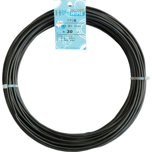 Iron Wire  10155334  DAIDOHANT