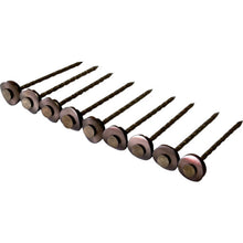 Load image into Gallery viewer, Stainless Connecting Umbrella Power Sccrew Nail  10176004  DAIDOHANT
