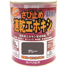 Load image into Gallery viewer, Modified Epoxy Antirust Paint  117645091008  KANSAI
