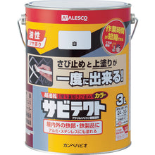 Load image into Gallery viewer, SabiTect  97640011030  KANSAI

