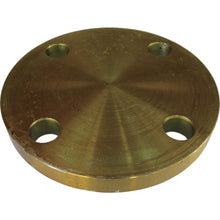 Load image into Gallery viewer, Carbon Steel 10K Blind Flat Face Flange  10BL-F20A  Ishiguro
