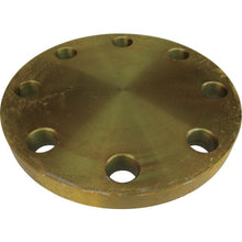Load image into Gallery viewer, Carbon Steel 10K Blind Flat Face Flange  10BL-F80A  Ishiguro
