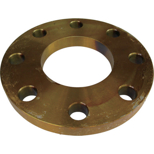 Carbon Steel 10K Slip on Flat Face Flange  10SOP-F-100A  Ishiguro