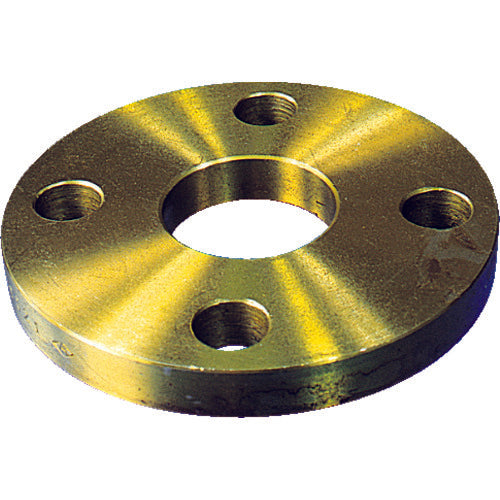 Carbon Steel 10K Slip on Flat Face Flange  10SOP-F-15A  Ishiguro