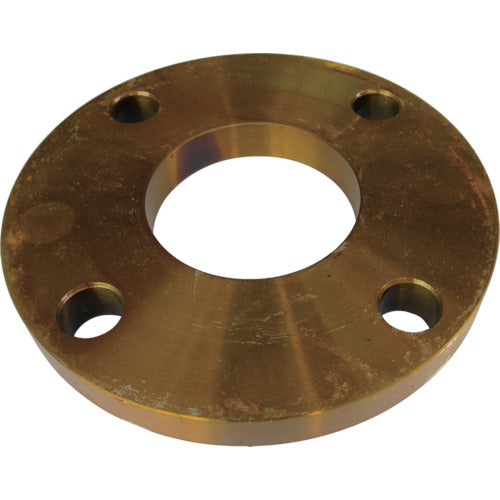 Carbon Steel 10K Slip on Flat Face Flange  10SOP-F-32A  Ishiguro