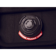 Load image into Gallery viewer, PELICAN Small Case  1120BK  PELICAN
