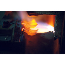 Load image into Gallery viewer, Gardening Shear  1200  Berger
