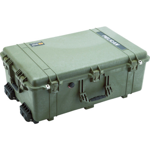 PELICAN Large Case  1650OD  PELICAN