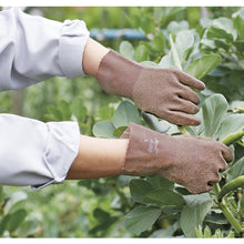 Load image into Gallery viewer, Natural Rubber Working Gloves  186-LL  Towaron
