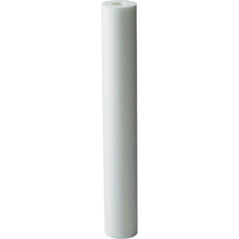 Load image into Gallery viewer, Filter for Filtration Kanefiel R  1R-2110W  AION
