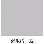 Load image into Gallery viewer, ZINC SPRAY PRO  2001CQ  SUNDAY
