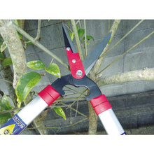 Load image into Gallery viewer, Grass Scissors  2021L  GS
