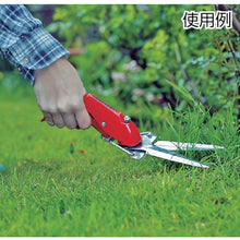 Load image into Gallery viewer, Handy Grass Shears  2100  Berger
