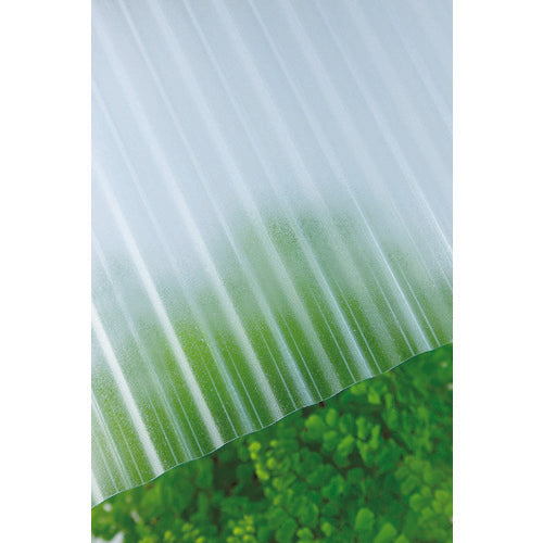 Takiron-Pcnami  235624  TAKIRON