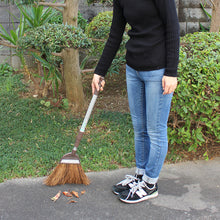 Load image into Gallery viewer, Fern Broom  270698  azuma
