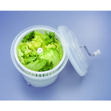 Load image into Gallery viewer, Antibacterial Jumbo Vegetables Drainer  2781  TONBO
