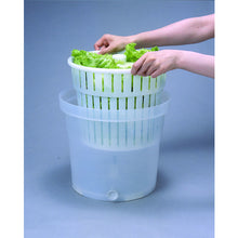 Load image into Gallery viewer, Antibacterial Jumbo Vegetables Drainer  2782  TONBO
