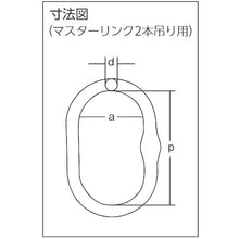 Load image into Gallery viewer, Chain Sling  2-MFF-YN-10  ELEPHANT
