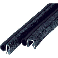 Load image into Gallery viewer, Trim &amp; Trim Seal  3100-B-3X16AT-L1  IWATA
