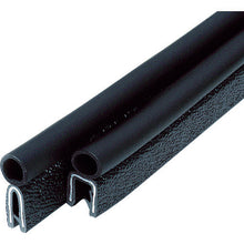 Load image into Gallery viewer, Trim &amp; Trim Seal  3100-B-3X16CT-L1  IWATA
