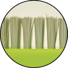 Load image into Gallery viewer, Brush for Moss  391880120  azuma
